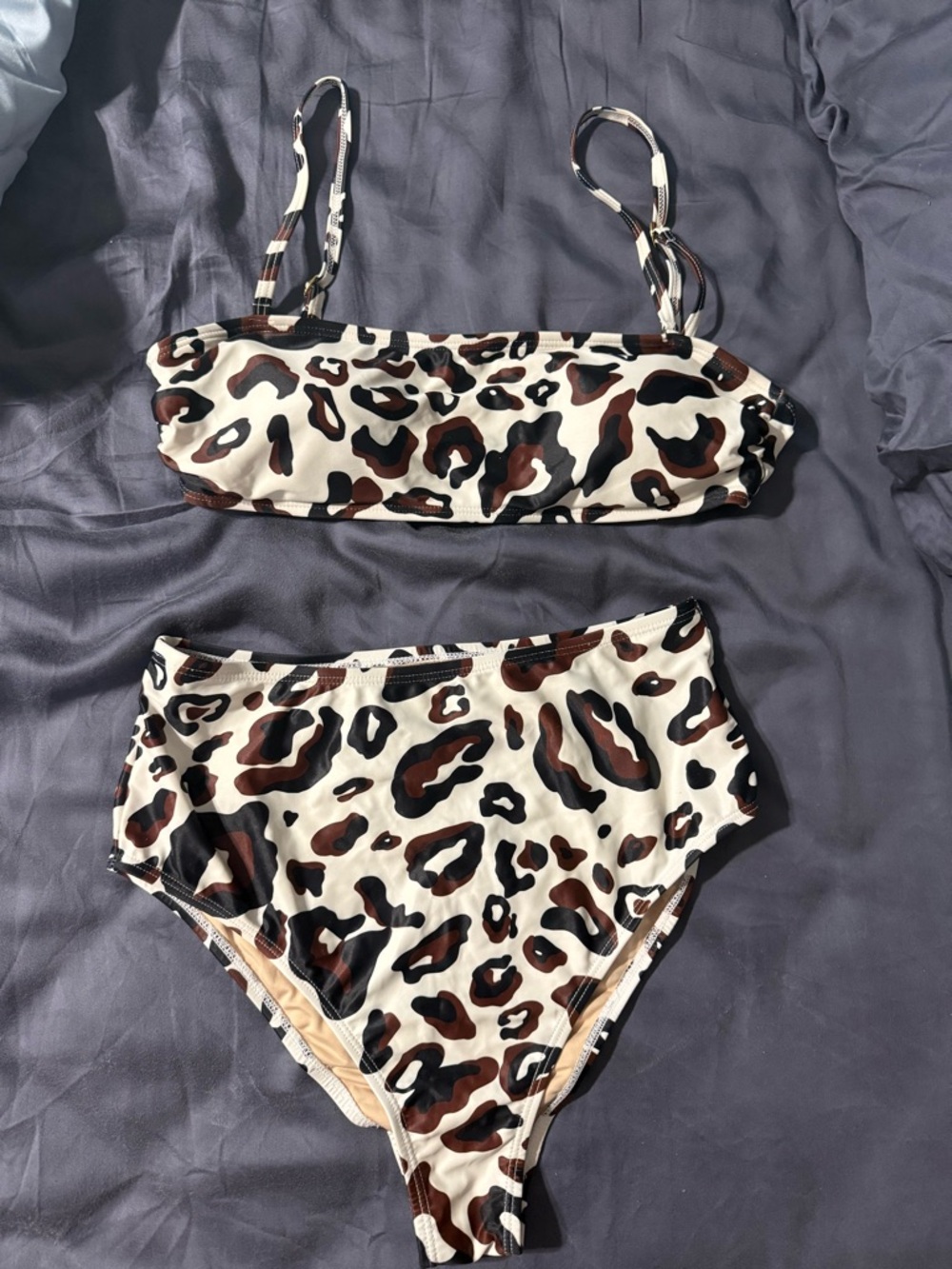 Leopard Print Bandeau + High Waisted Bikini Set